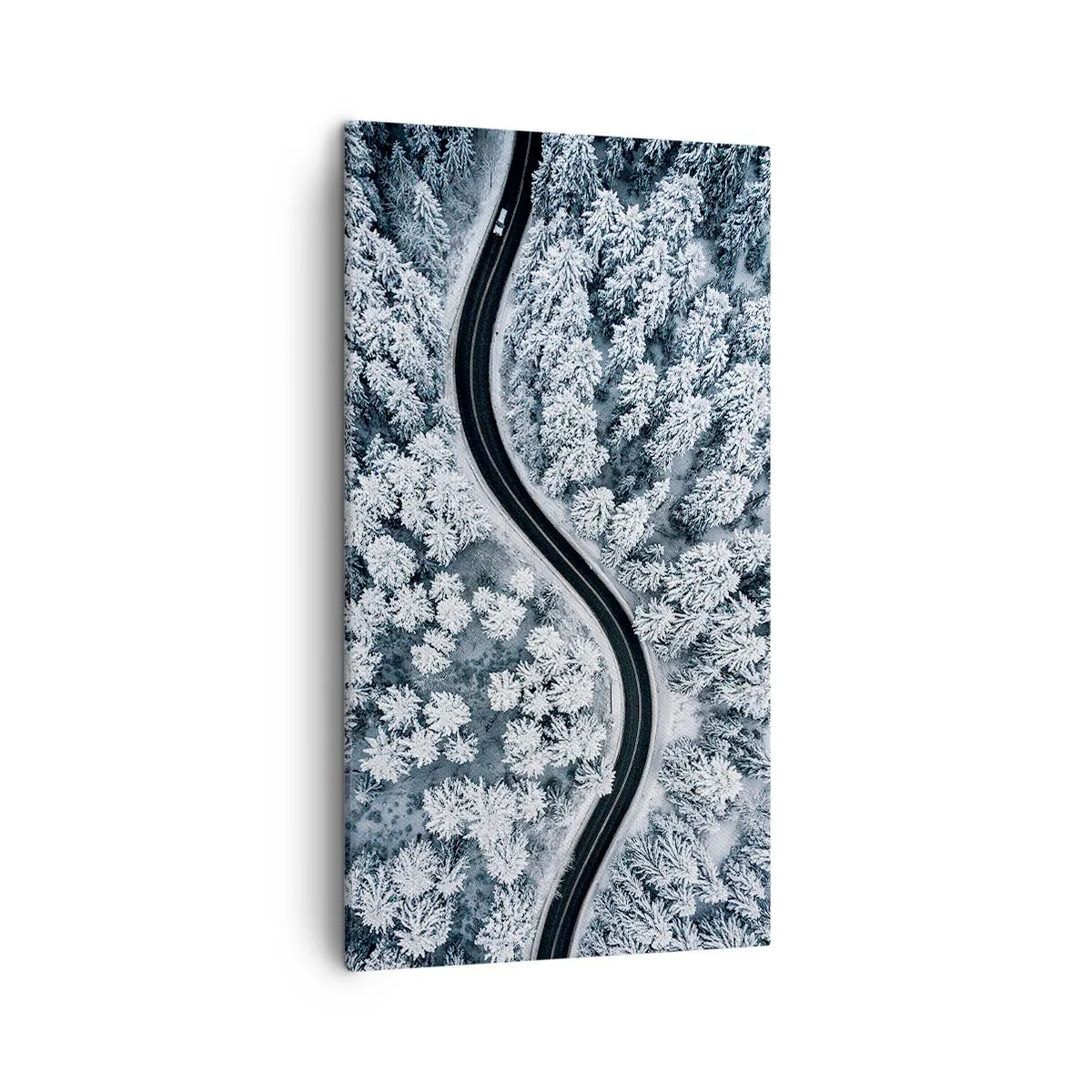 Tablou pe pânză - Prin pădurea de iarnă - 45x80 cm