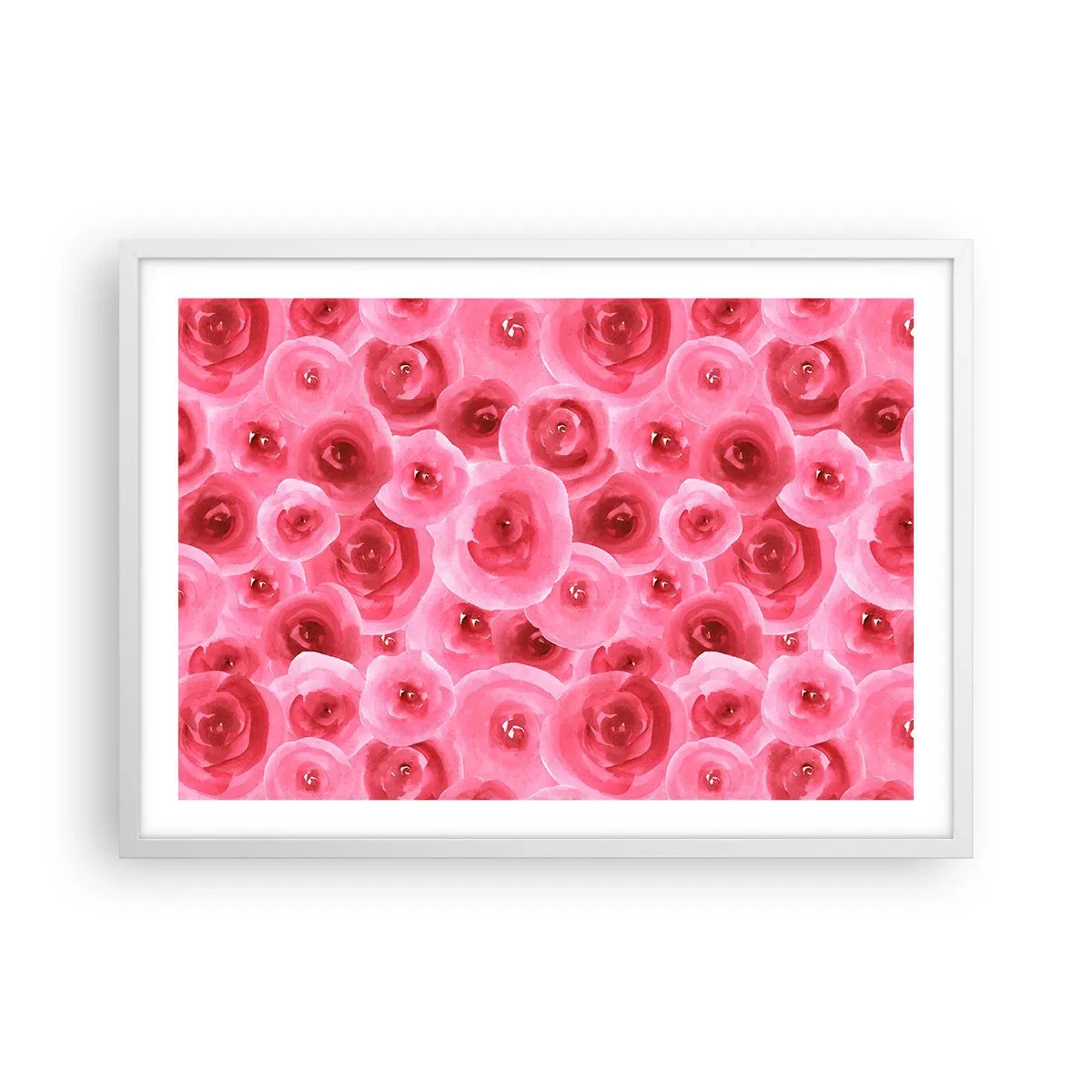 Poster în ramă albă - Trandafiri de sus în jos - 70x50 cm