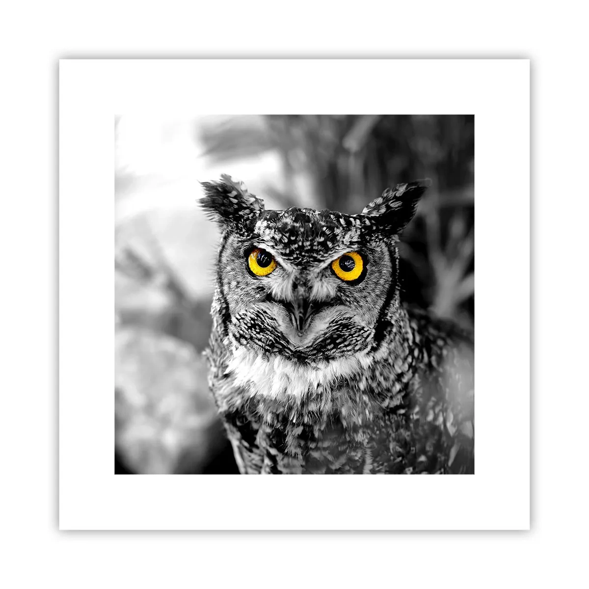 Poster - Nimic nu poate fi ascuns - 30x30 cm