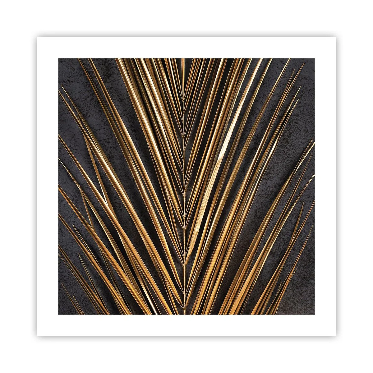 Poster - Aur tropical - 50x50 cm