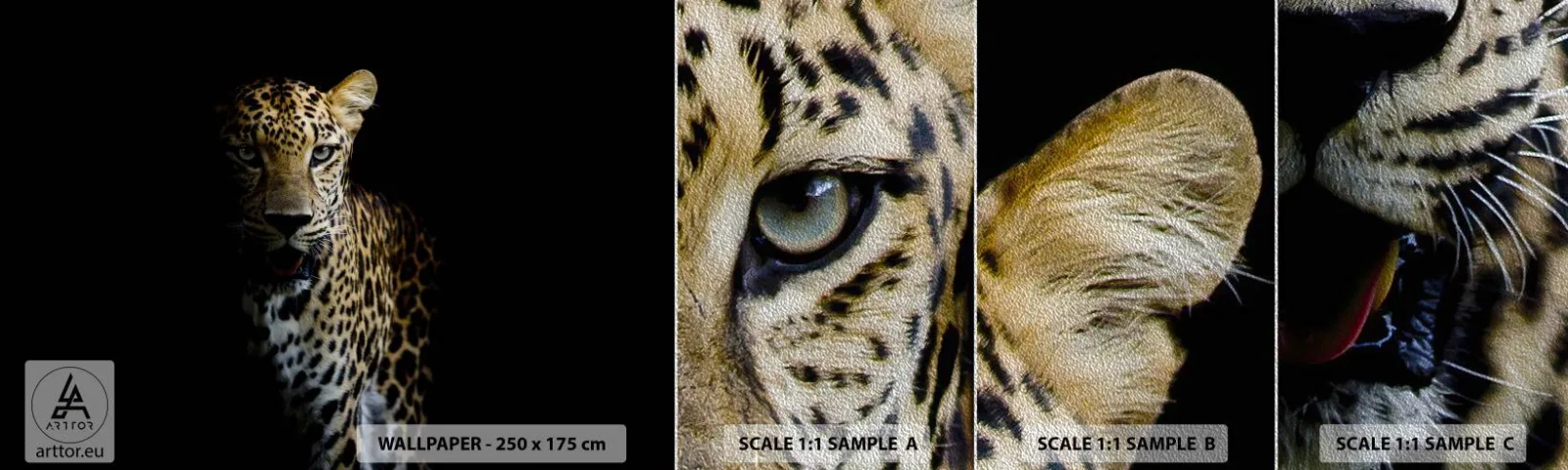 Mostră tapet Premium Sand - Frumusețe întunecată - Animale, leopard, Pisica sălbatică - 100x30 cm