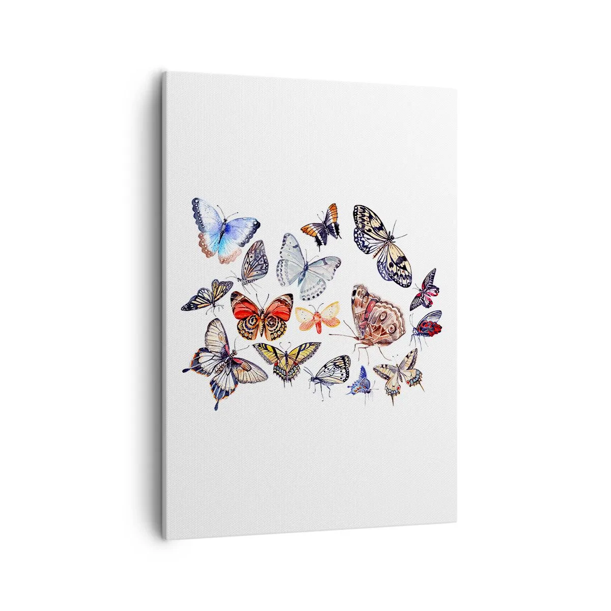 Tablou pe pânză - Un roi colorat de dantelă - 50x70 cm