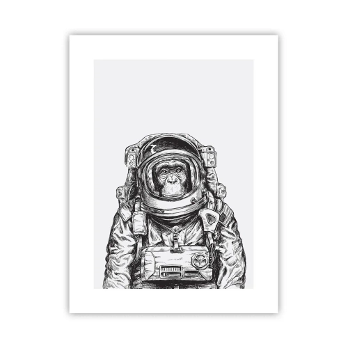 Poster - Evoluție alternativă - 30x40 cm