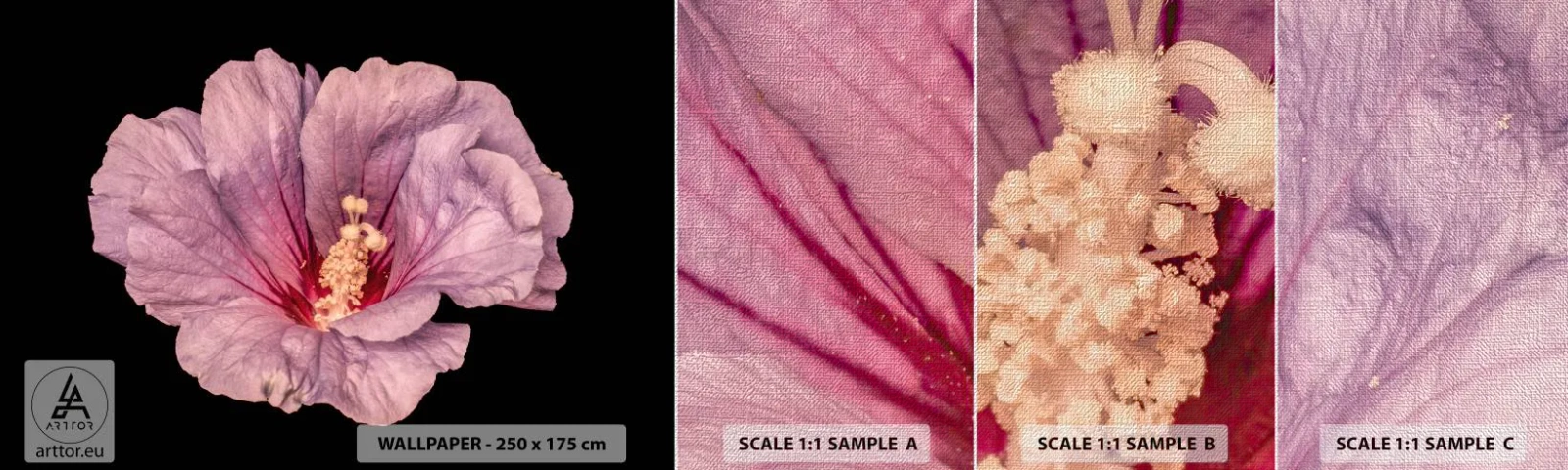 Mostră tapet Premium Canvas - Direct la inimă - Floare, Bucată, Grafică - 100x30 cm