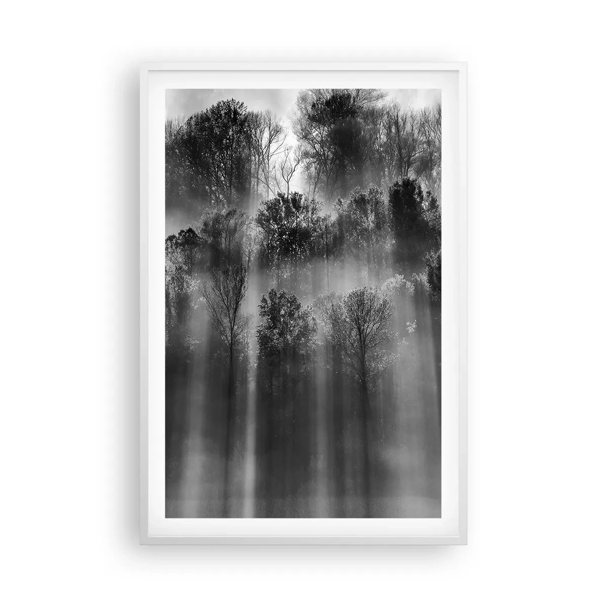 Poster în ramă albă - În fluxuri de lumină - 61x91 cm