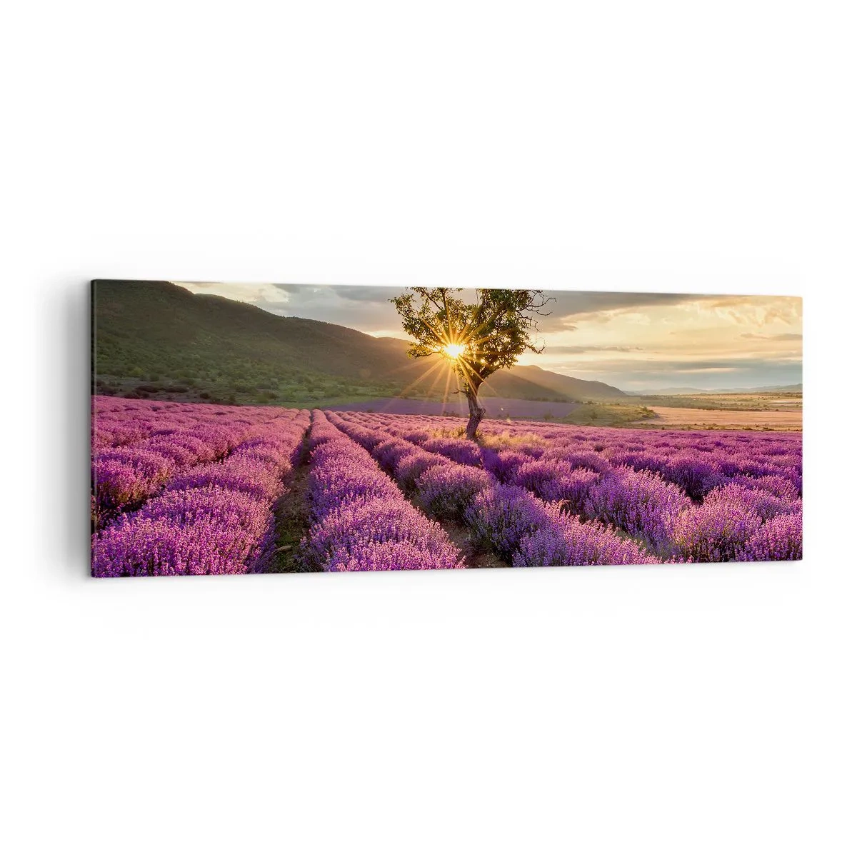 Tablou pe pânză - Aroma în liliac - 140x50 cm