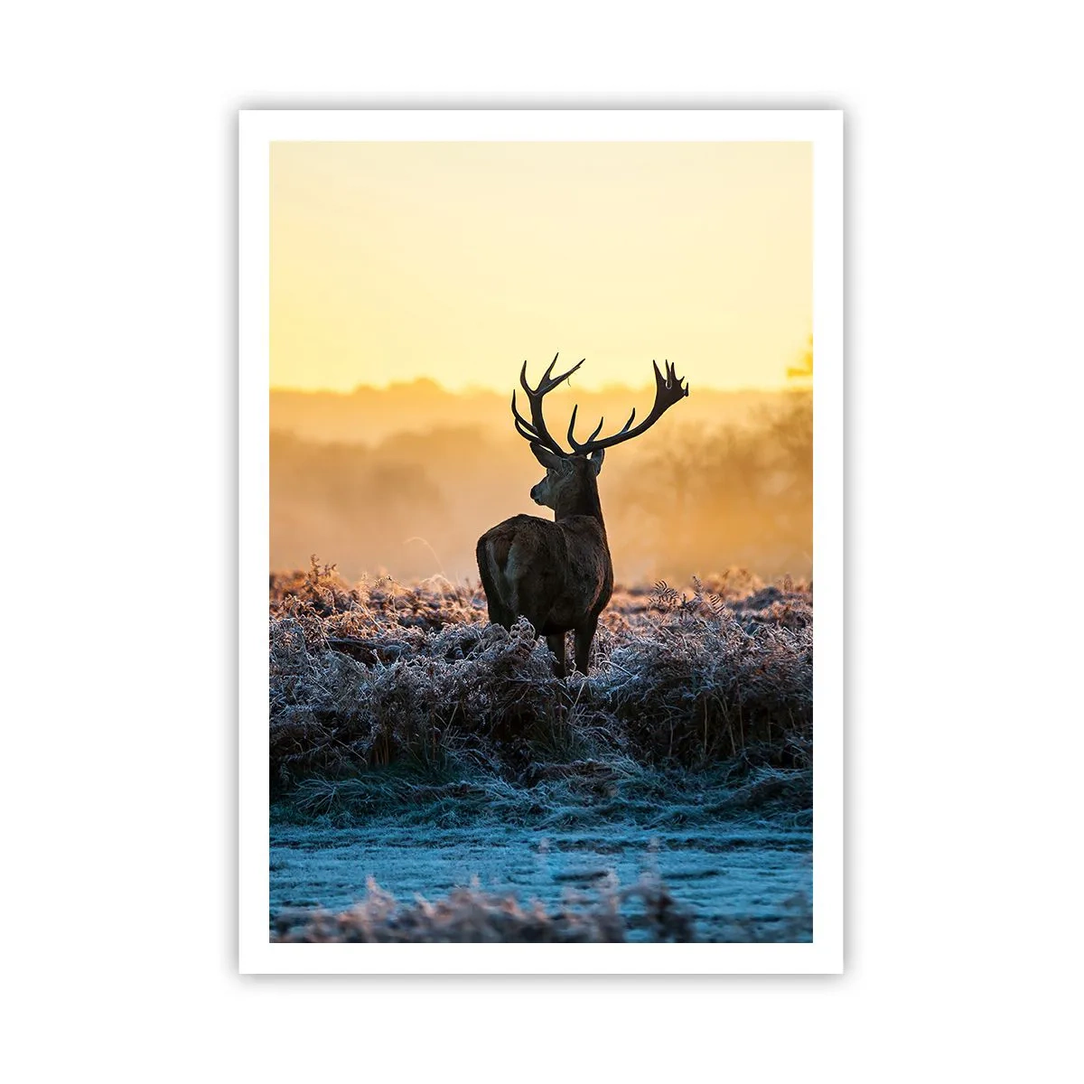 Poster - Încoronat pe domeniul său - 70x100 cm