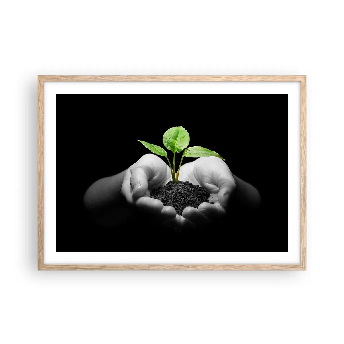 Poster în ramă de stejar deschis - Iubesc natura, o protejez - 70x50 cm
