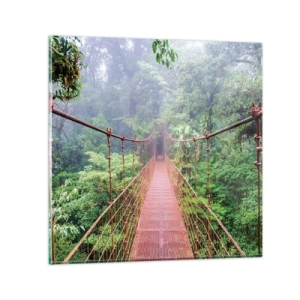 Tablou pe sticlă - Suspendat deasupra coroanelor arborilor - 50x50 cm