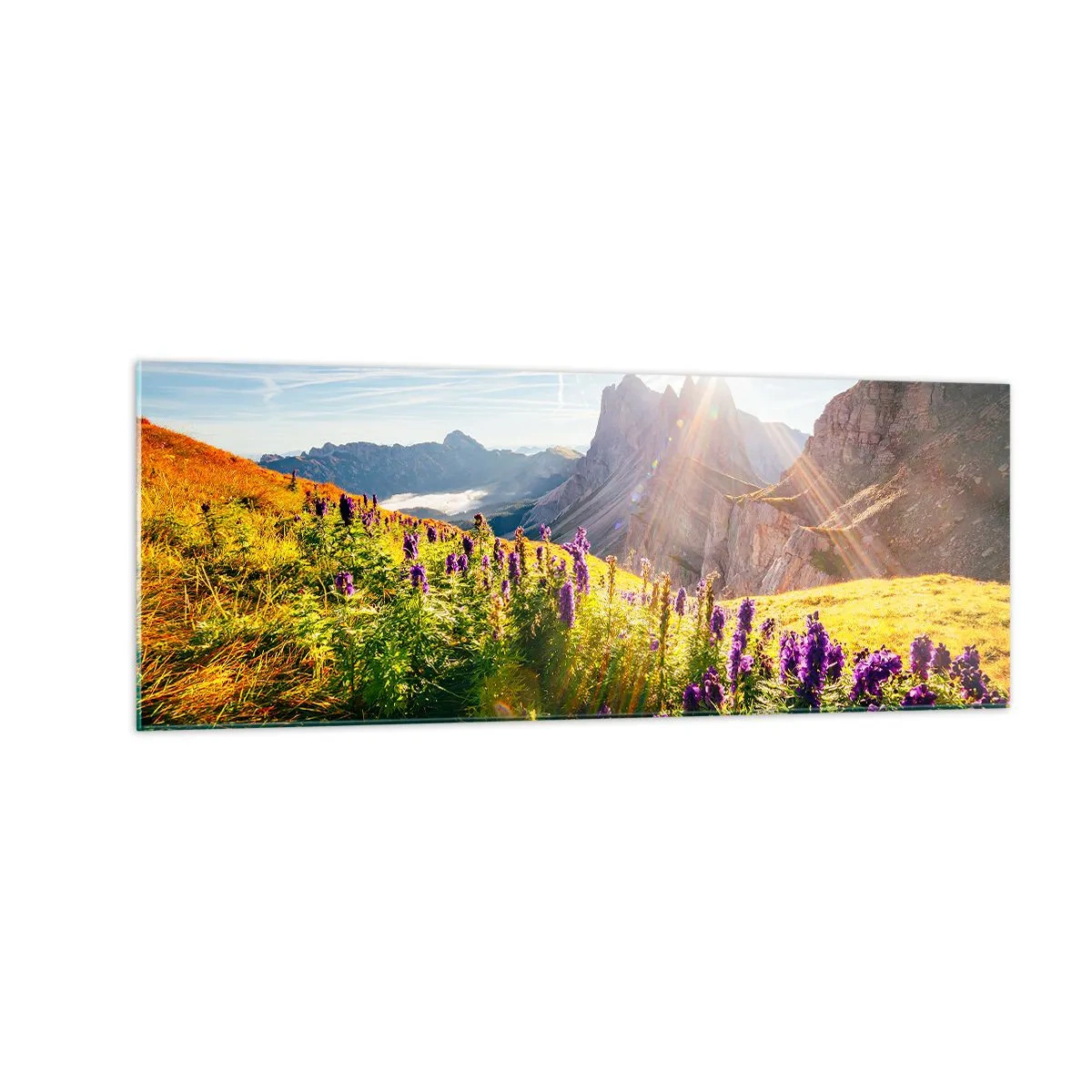 Tablou pe sticlă - Viața secretă a ierburilor - 140x50 cm