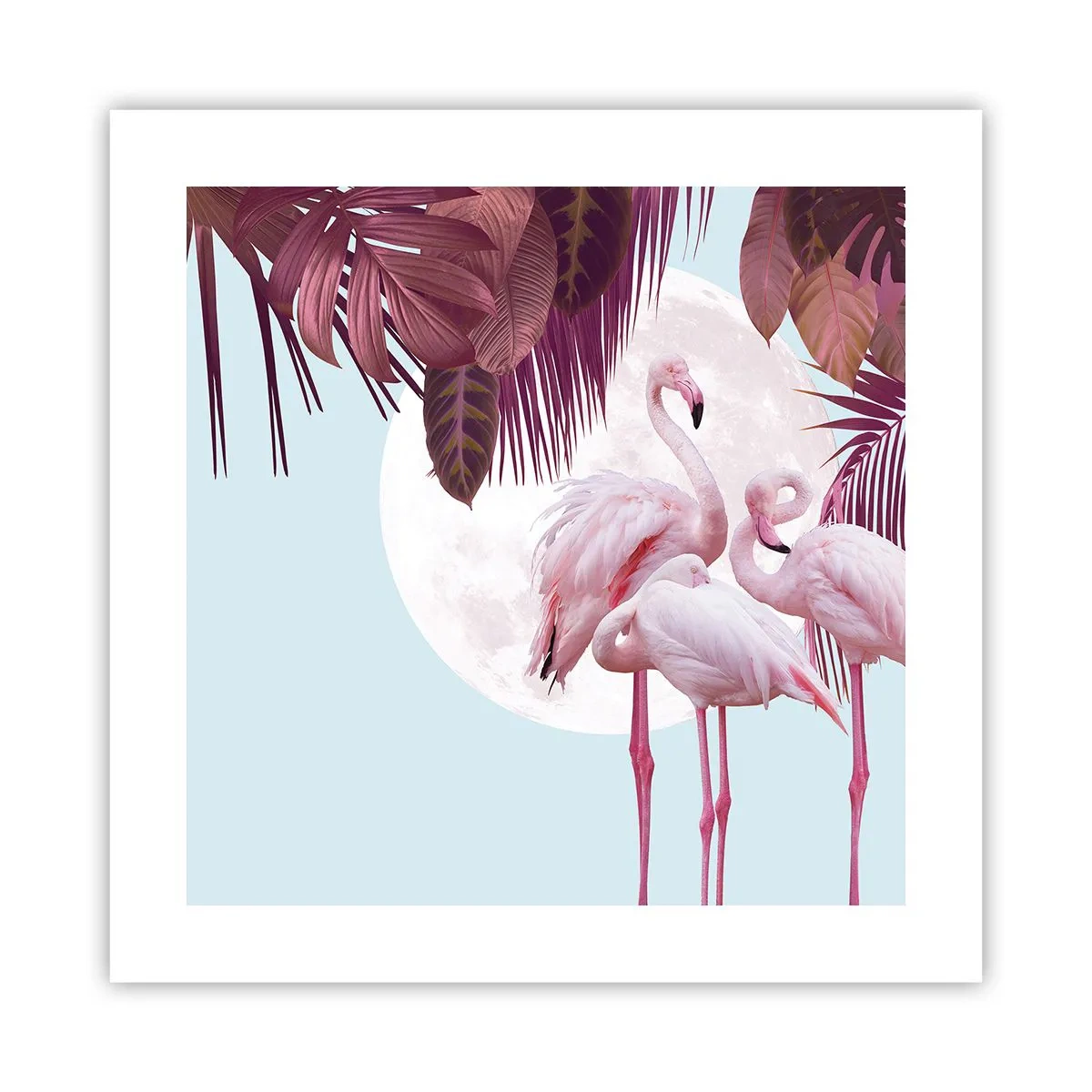 Poster - Harul a trei păsări - 40x40 cm