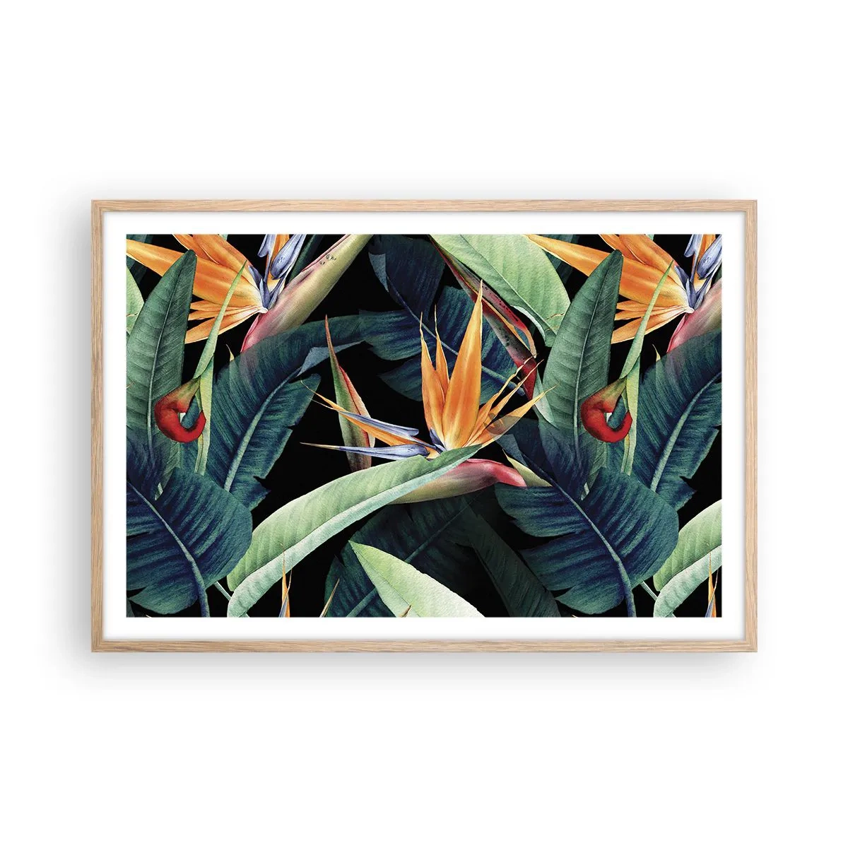 Poster în ramă de stejar deschis - Florile de flacără ale tropicelor - 91x61 cm