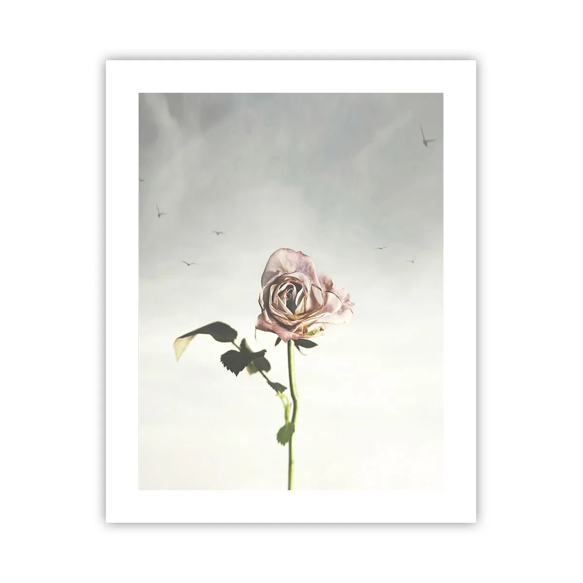 Poster - Primăvara binevenită - 40x50 cm