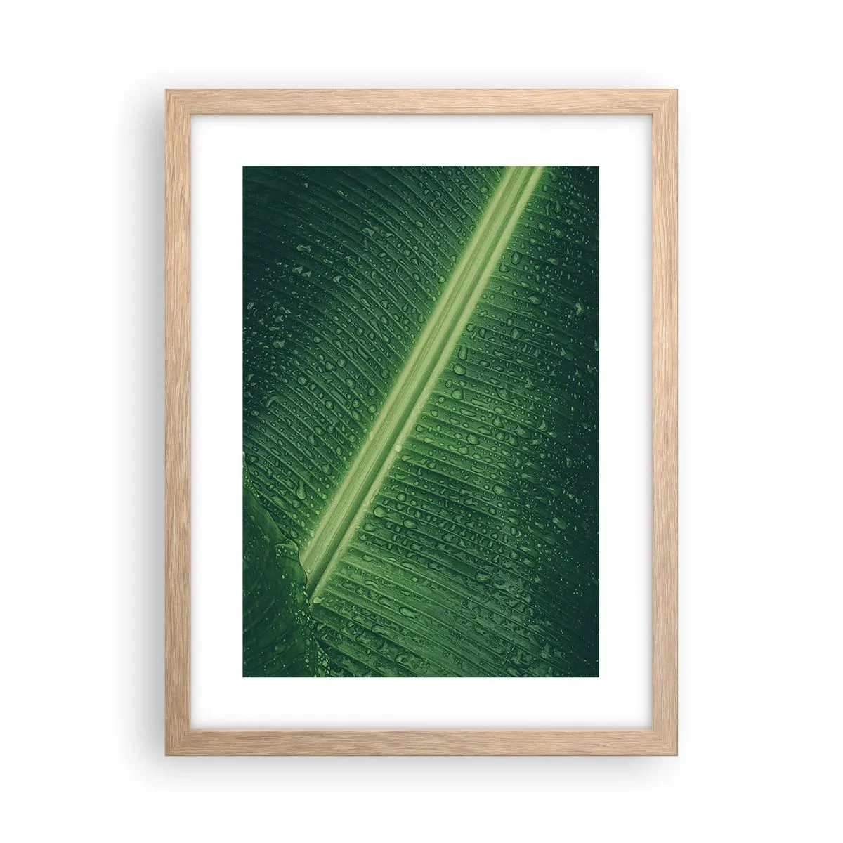 Poster în ramă de stejar deschis - Structura verdelui - 30x40 cm