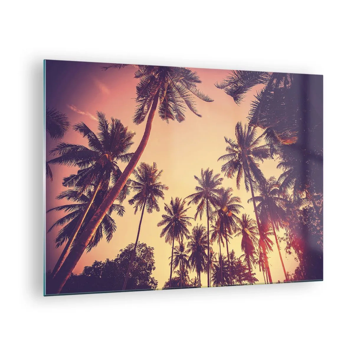 Tablou pe sticlă - Palmieri în razele soarelui care apune - 70x50cm - Variație tropicală - Decorațiune modernă pentru perete pentru living și dormitor ARTTOR