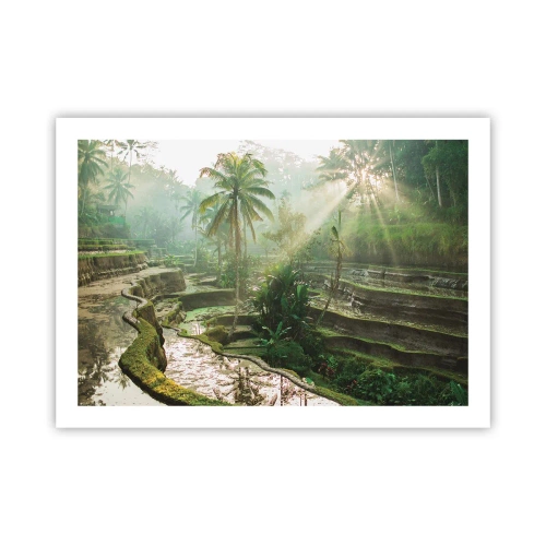 Poster - Crescând la soare - 70x50 cm