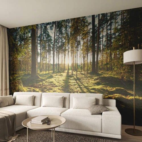 Tapet Autoadeziv Deluxe Sticker - Pădurea misterioasă - Peisaj, pădure, Natură - 300x210 cm