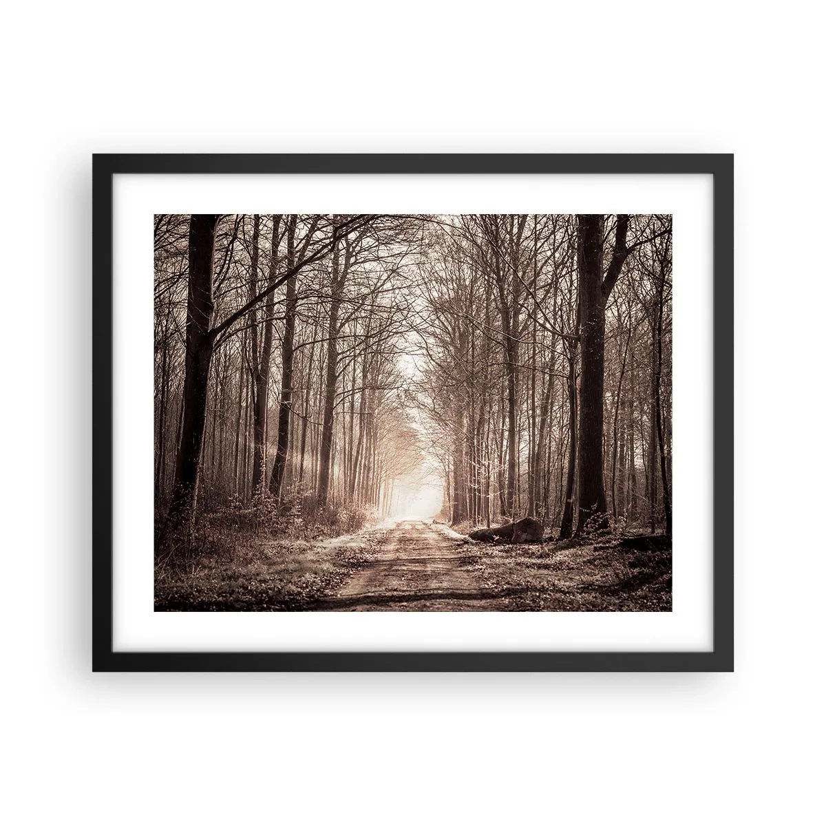 Poster în ramă neagră - Catedrala Forestieră - 50x40 cm