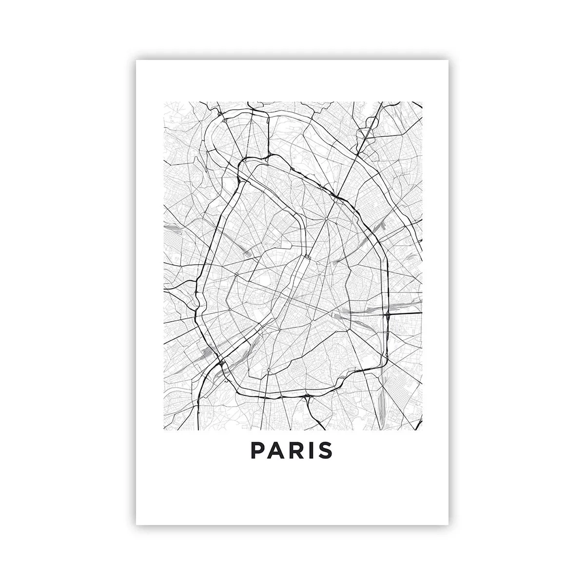 Poster - Floarea Parisului - 61x91 cm