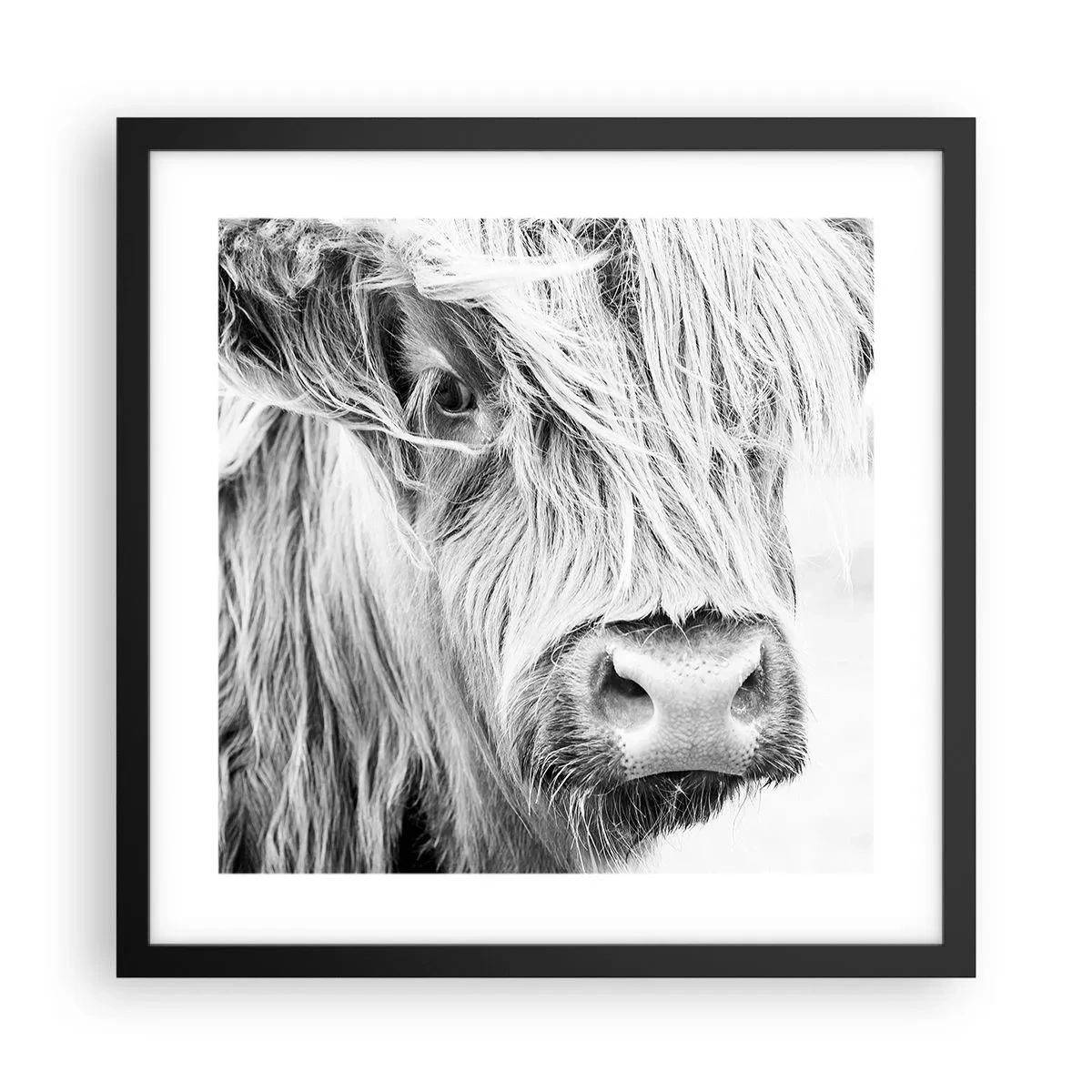 Poster în ramă neagră - Sălbăticie scoțiană - 40x40 cm