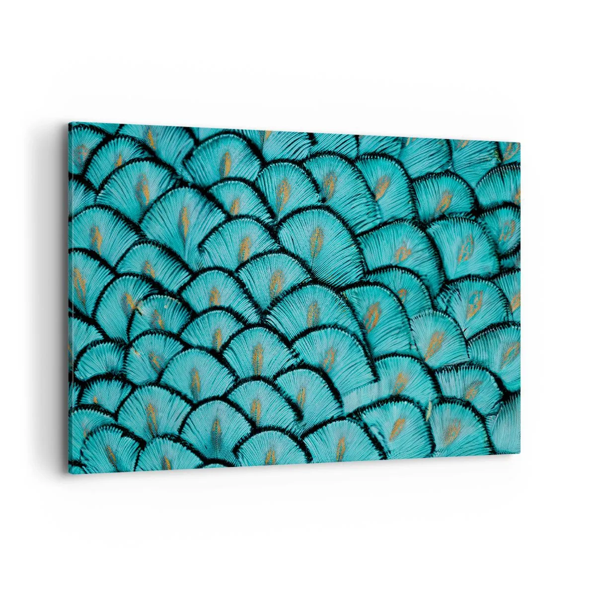 Tablou pe pânză - Marea gală a penelor - 100x70 cm