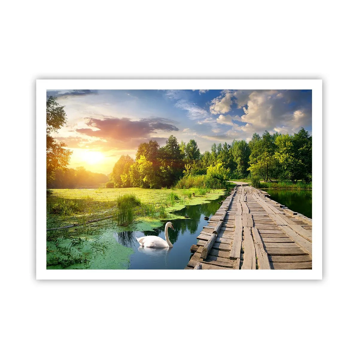 Poster - Vară, vară peste tot - 100x70 cm