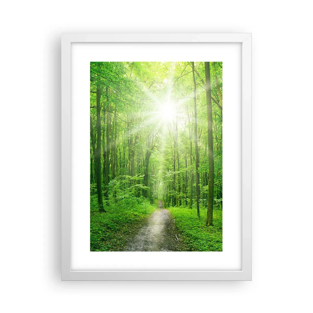 Poster în ramă albă - Catedrala verde - 30x40 cm