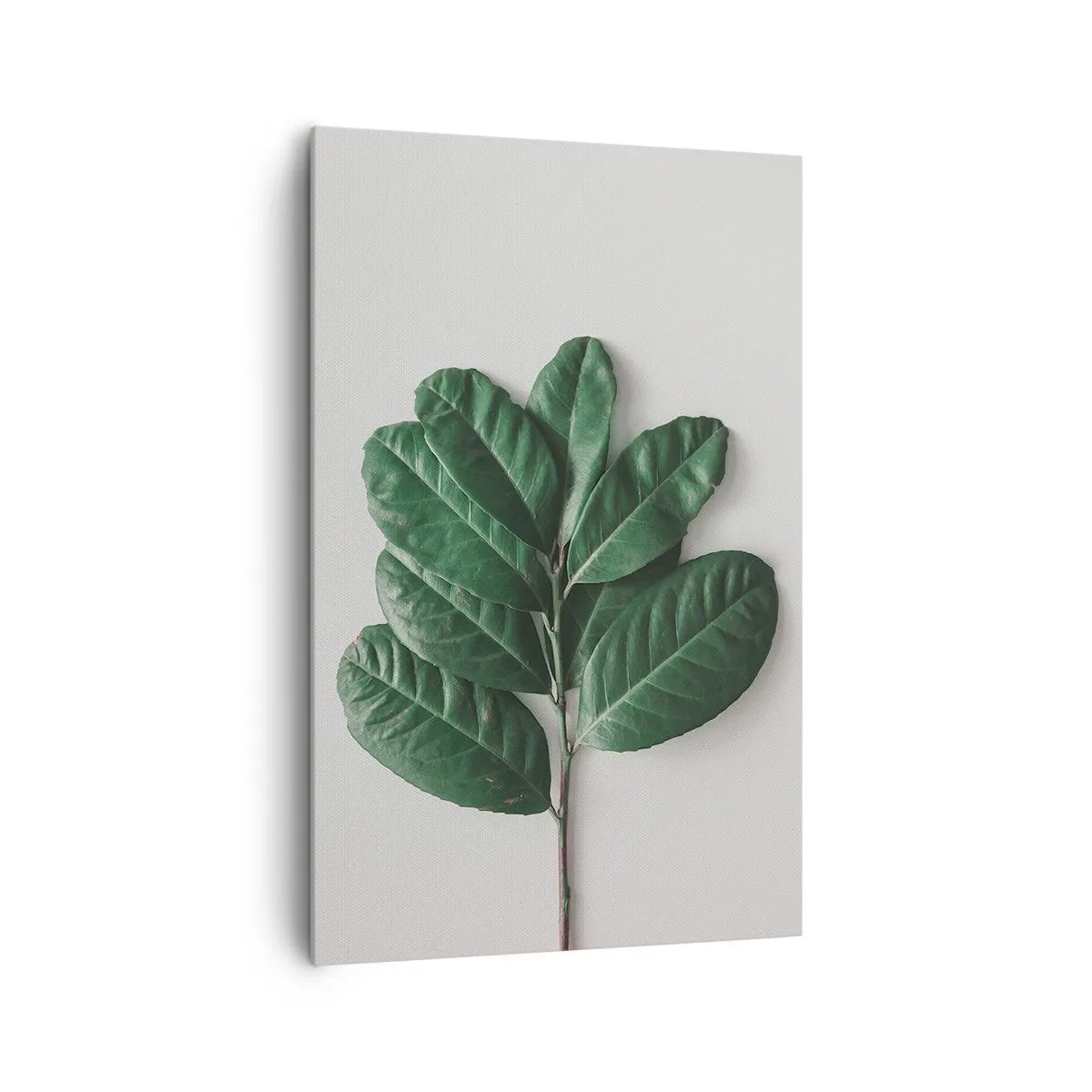 Tablou pe pânză - Desenul naturii însăși - 80x120 cm