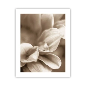 Poster - Blânde ca un zâmbet - 40x50 cm