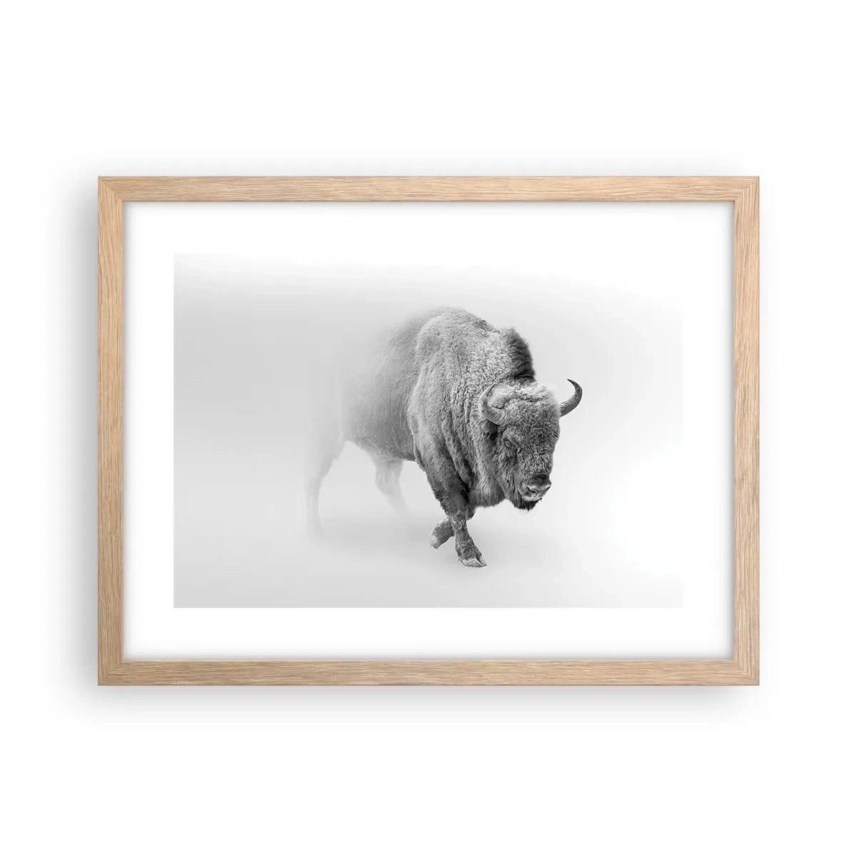 Poster în ramă de stejar deschis - Regele preriilor - 40x30 cm