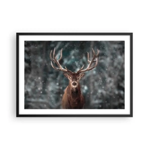 Poster în ramă neagră - Regele pădurii a fost încoronat - 70x50 cm