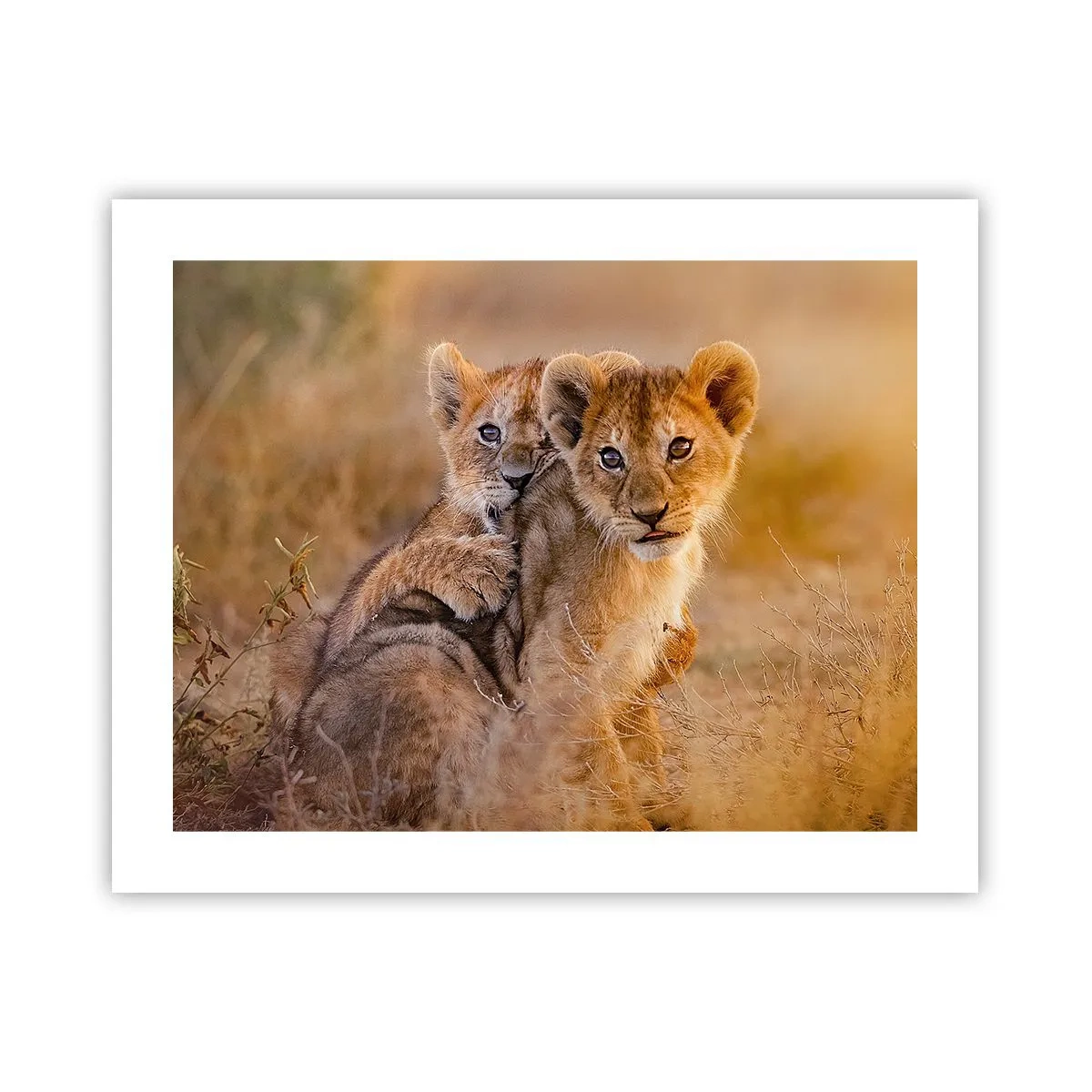 Poster - Nu deranjați! Ne distrăm - 50x40 cm