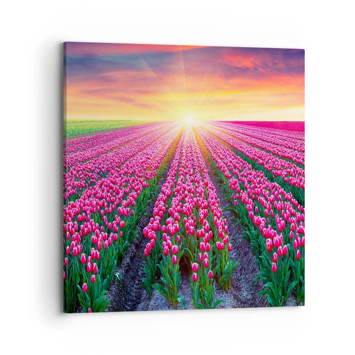 Tablou pe pânză - Ferma de frumusețe - 70x70 cm