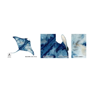 Mostră de Tapet Standard Eco - Viața în albastru - Stingray, Peşte, Stil de litoral - 100x30 cm