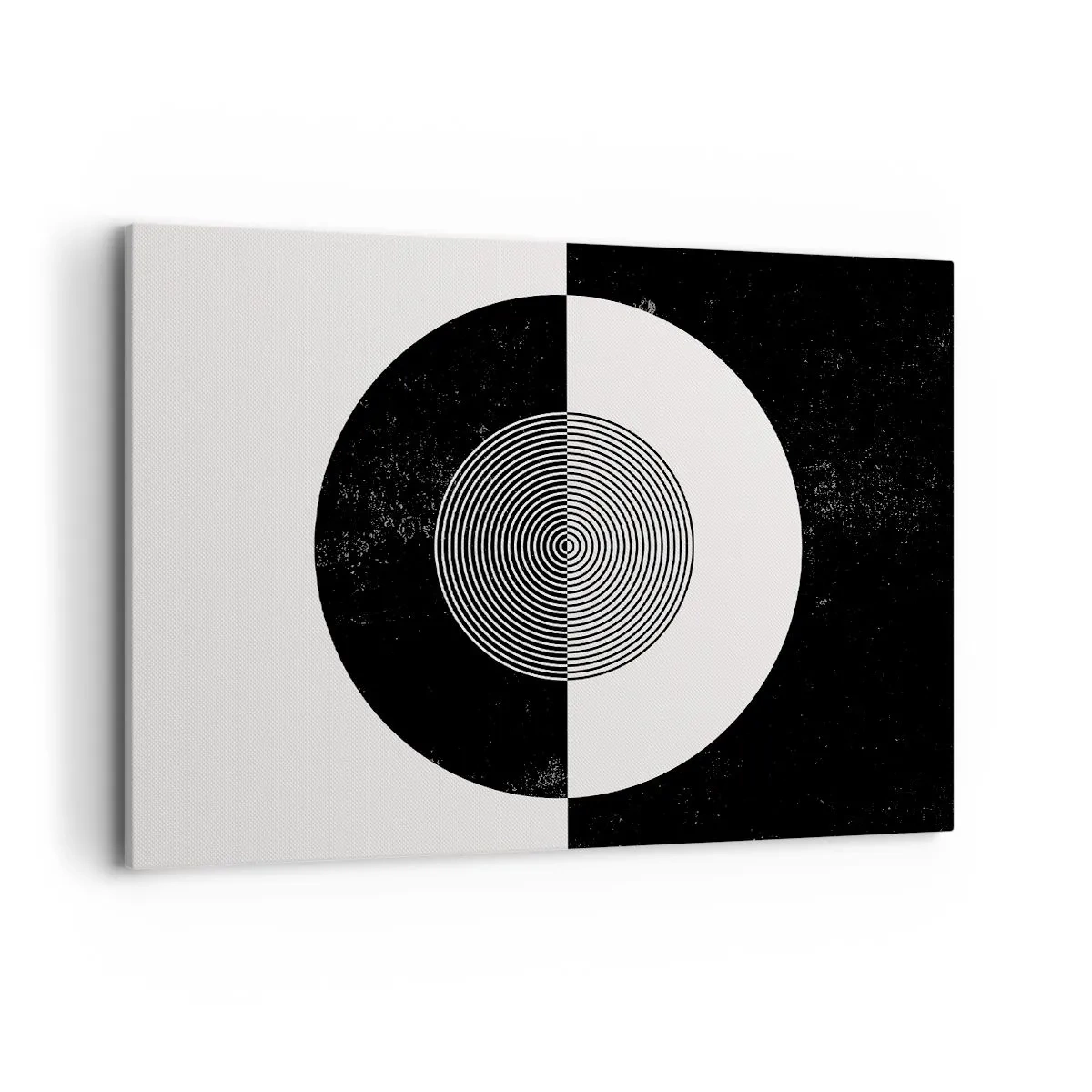 Tablou pe pânză - Armonie în alb și negru - 100x70 cm