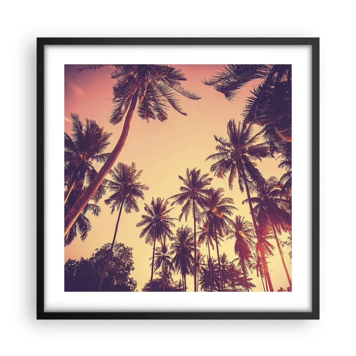Poster în ramă neagră - Variație tropicală - 50x50 cm