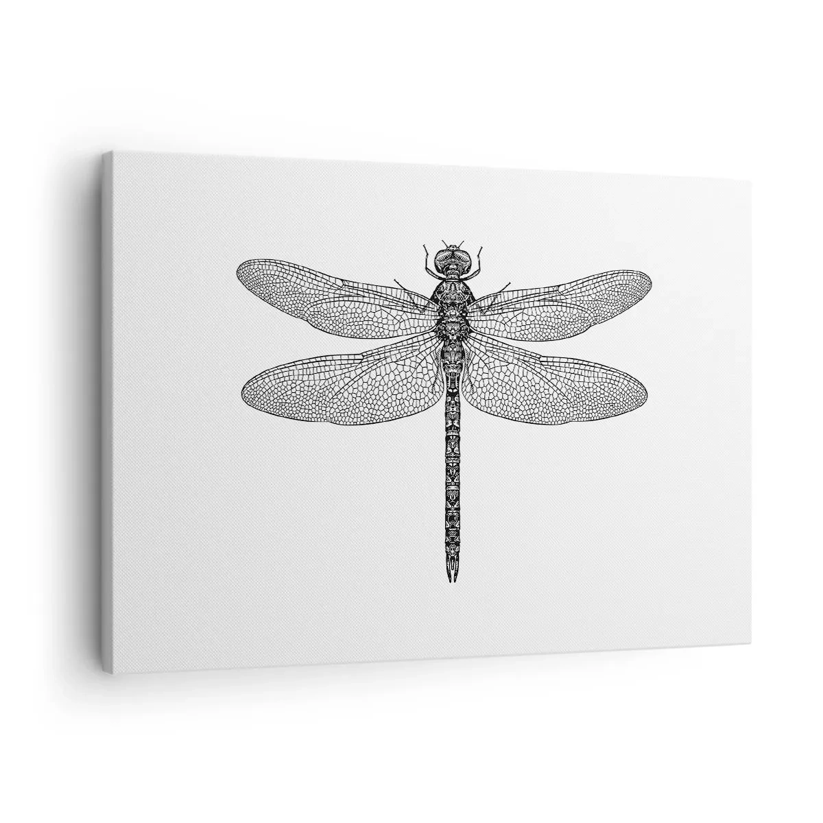 Tablou pe pânză Canvas - Desen alb-negru al unei libelule pe fundal alb, într-un stil minimalist - 70x50cm - Precizia naturii - Decorațiune modernă pentru perete pentru living și dormitor ARTTOR