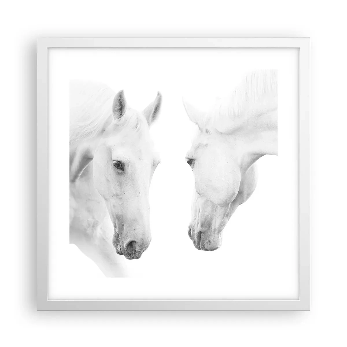 Poster în ramă albă - Este aceasta o prietenie...? - 40x40 cm