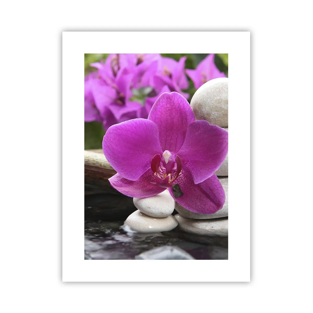 Poster - Te odihnești deja - 30x40 cm