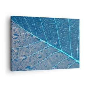 Tablou pe pânză Canvas - O frunză în nuanțe de albastru cu picături de apă - 70x50cm - Viața în albastru - Decorațiune modernă pentru perete pentru living și dormitor ARTTOR