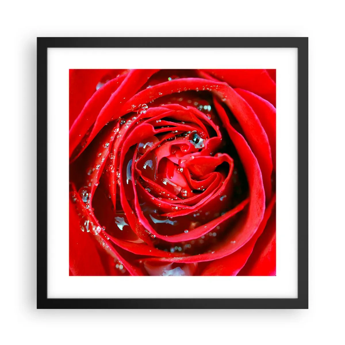 Poster în ramă neagră - În picături de rouă - 40x40 cm