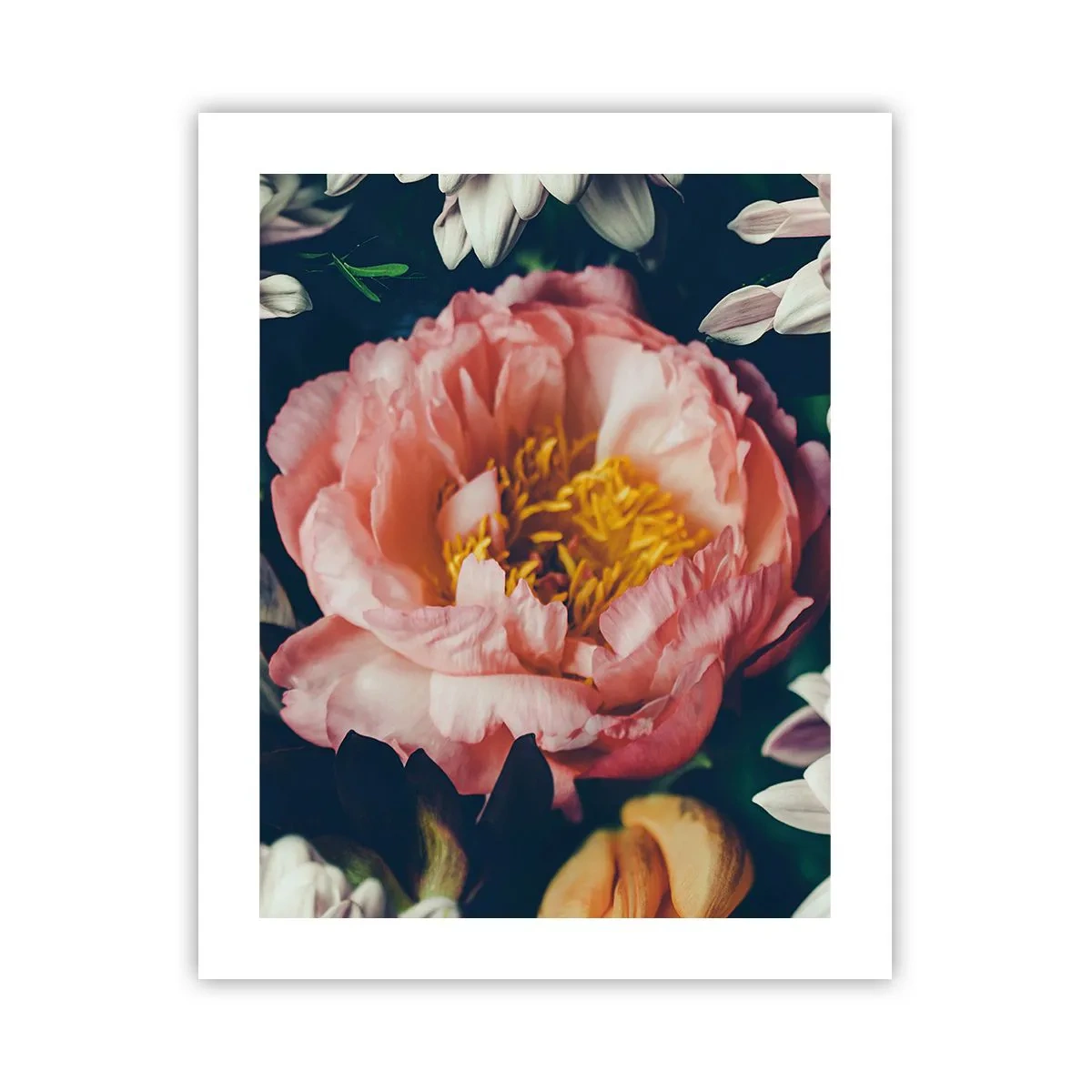 Poster - Cu splendoare barocă - 40x50 cm