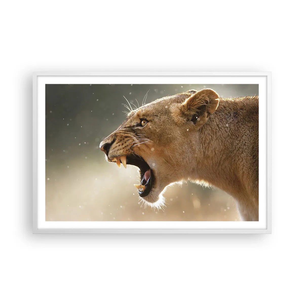 Poster în ramă albă - Încearcă să nu asculți - 91x61 cm