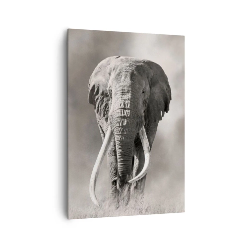 Tablou pe pânză - Patriarh african - 70x100 cm