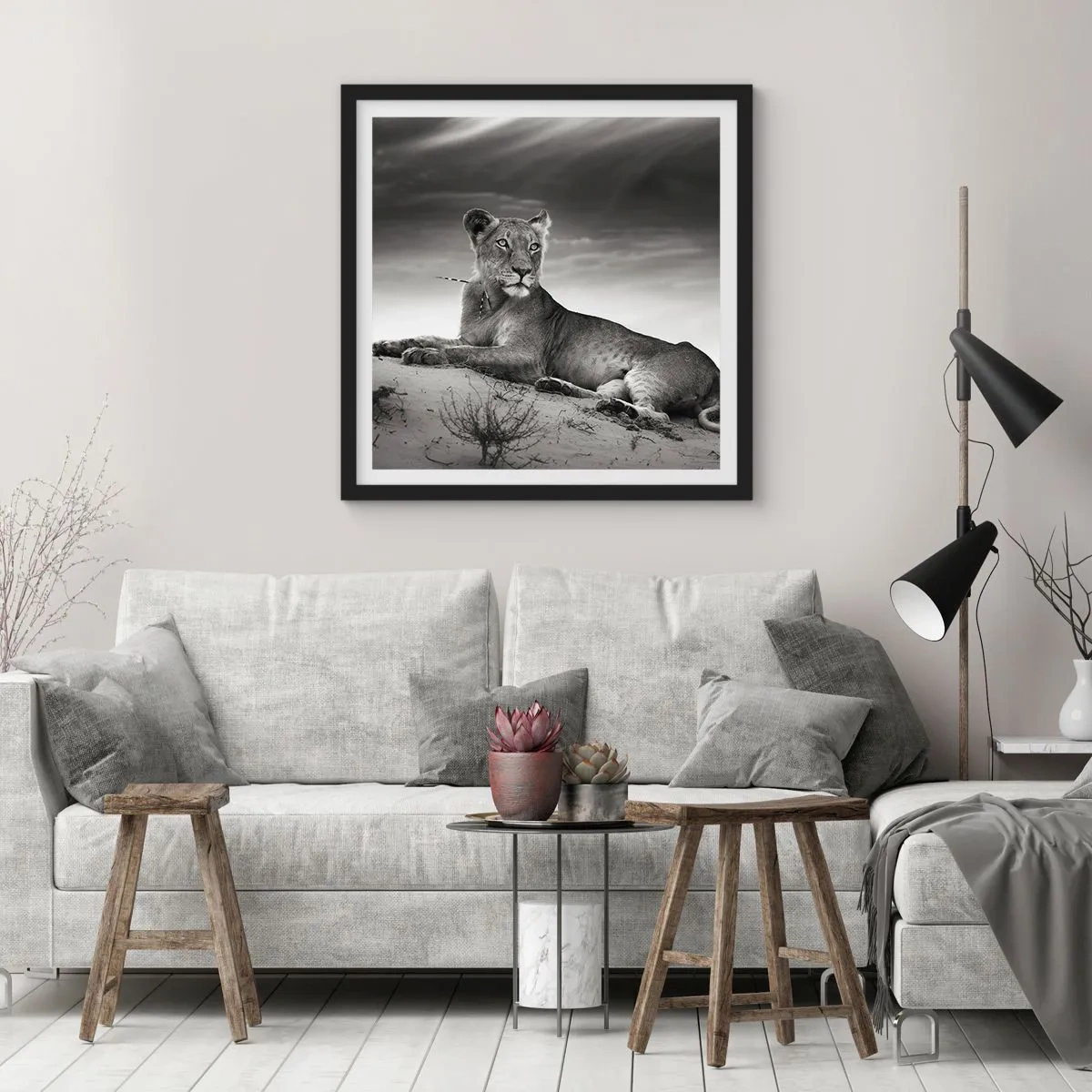 Poster în ramă neagră - Odihna reginei deșertului - 60x60 cm