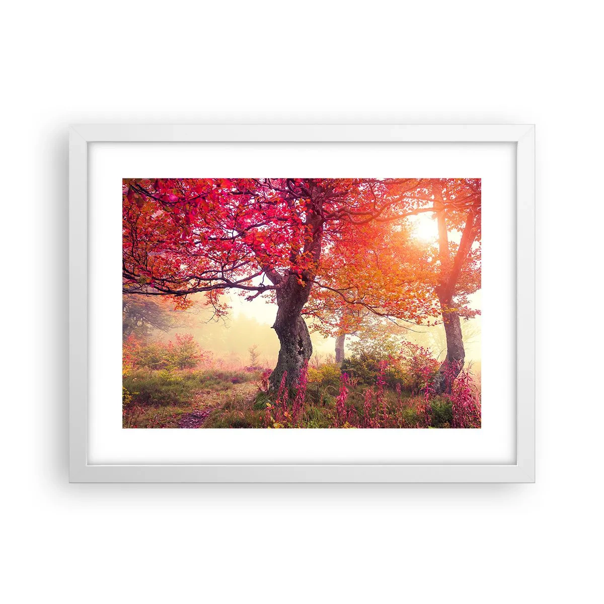 Poster în ramă albă - O frenezie de înflorire - 40x30 cm