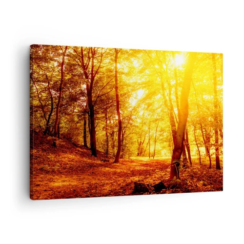 Tablou pe pânză Canvas - Poiana de toamnă în lumina aurie a soarelui cu o potecă de pădure - 70x50cm - Spre o poiană de aur - Decorațiune modernă pentru perete pentru living și dormitor ARTTOR