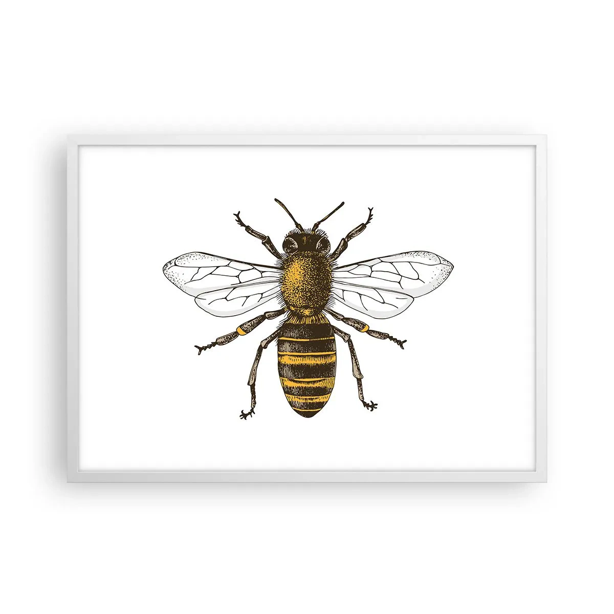 Poster în ramă albă - Frumoasă și bună - 70x50 cm