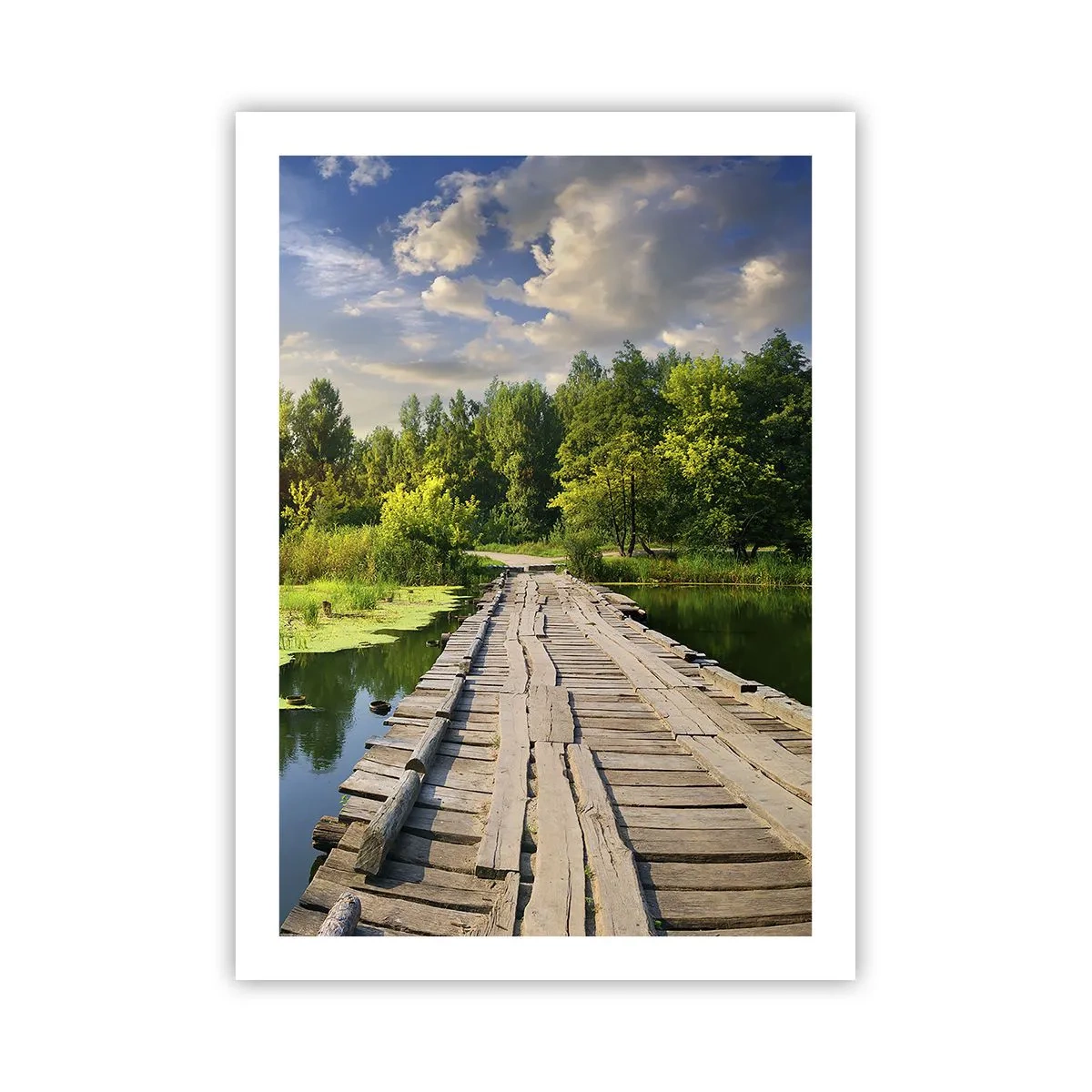 Poster - Vară, vară peste tot - 50x70 cm
