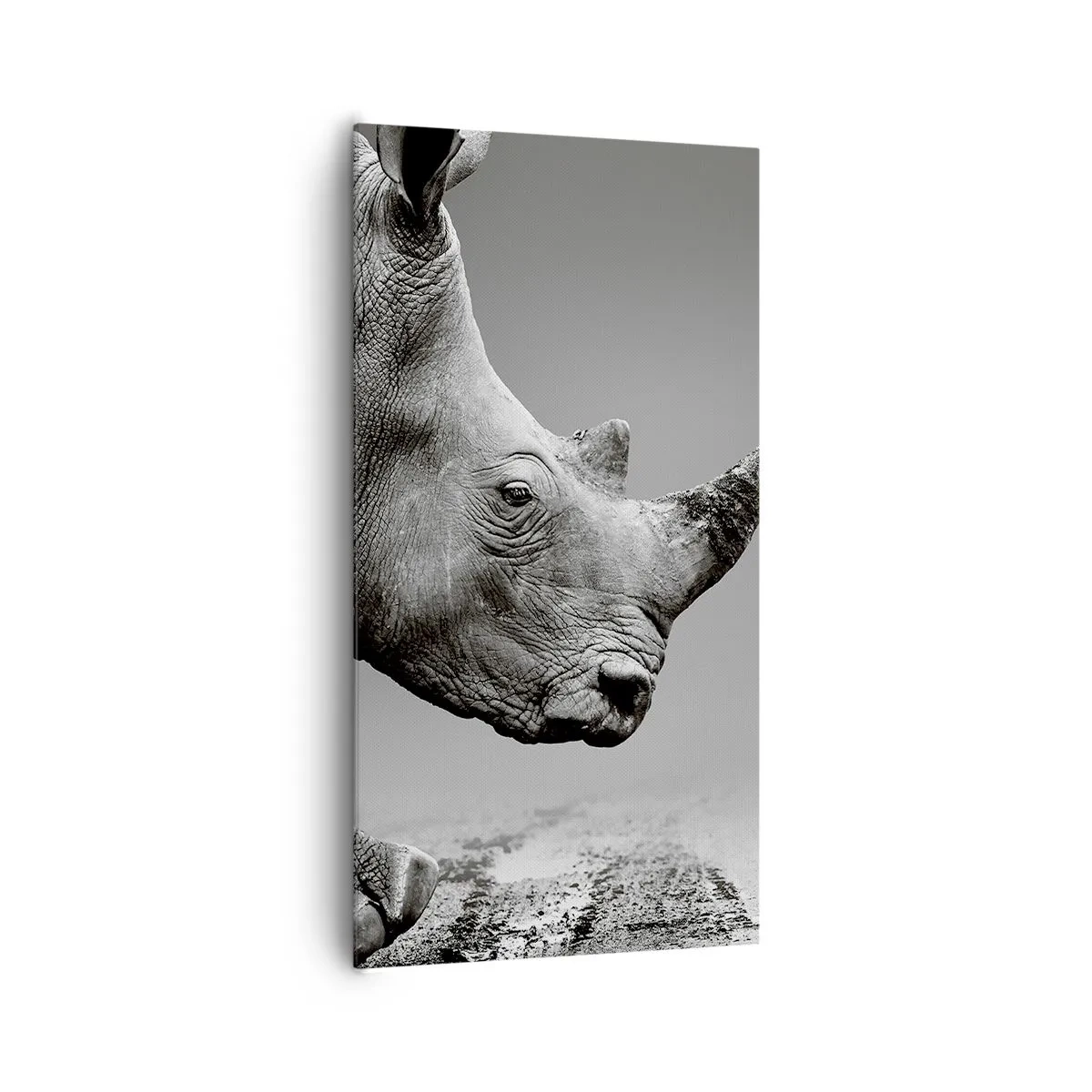 Tablou pe pânză - O forță de neoprit - 65x120 cm